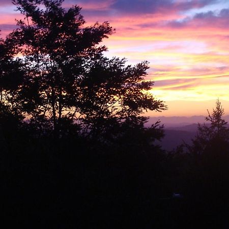 Forest View B&B Gavi Zewnętrze zdjęcie